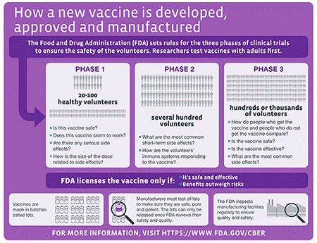 Infographic with phased timeline of vaccine creation